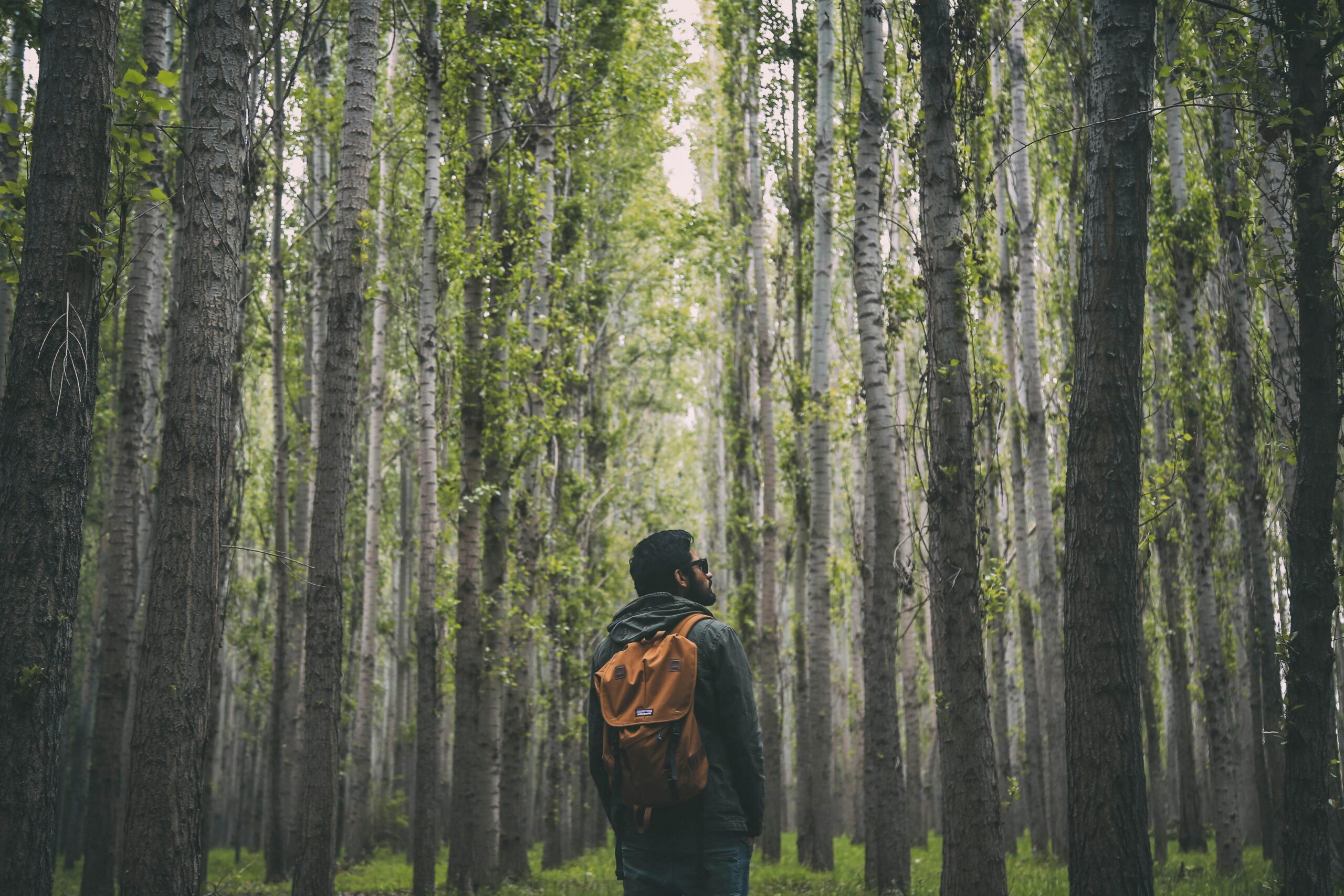 wandern